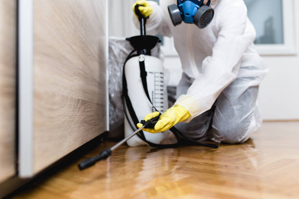 Best Pest Control Near Me in Walden, TN