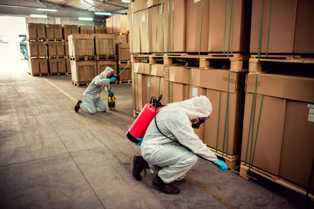 Best Emergency Pest Control  in Walden, TN