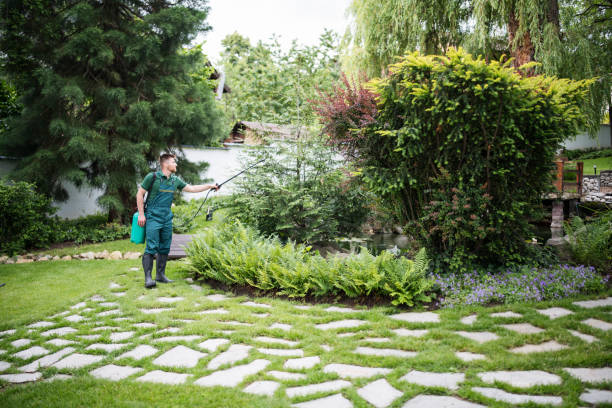 Best Affordable Pest Control Services  in Walden, TN