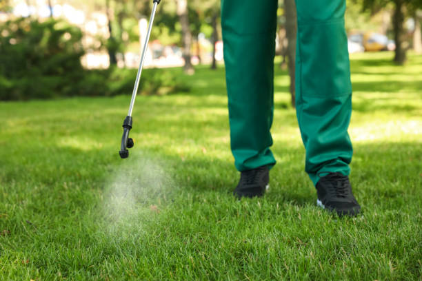 Best Best Pest Control Companies  in Walden, TN
